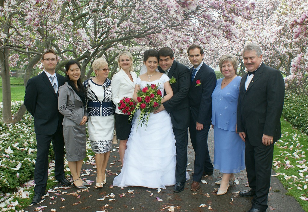 family-wedding-rainy-day-cherry-blossom-canopy-laneway